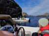 Day at Sea - fuglefjellene